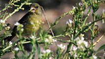 Wildes Marokko · Der grüne Norden