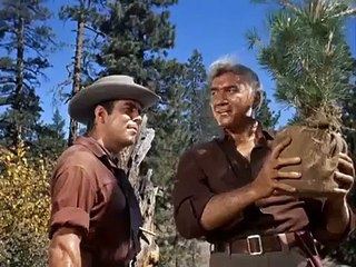 Bonanza, 01x09, Mr. Henry Comstock