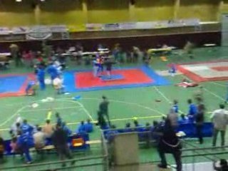 St berthevin 2008 -stephane et brice