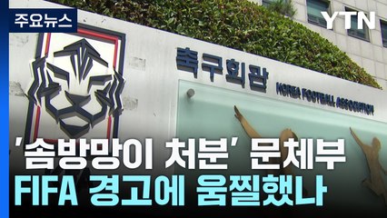 '솜방망이 처분' 문체부, FIFA 경고에 움찔했나 / YTN
