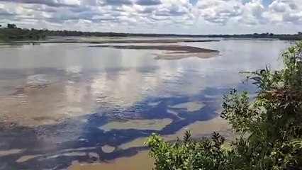 Reportan derrame de petróleo en amazonía de Perú