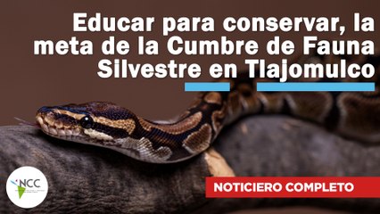 Educar para conservar, la meta de la Cumbre de Fauna Silvestre | 697 | 07 al 13 de octubre de 2024