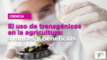 El uso de transgénicos en la agricultura: avances y beneficios