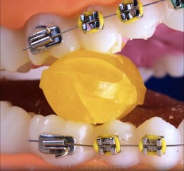 Boring things turn fascinating, just look close and listen  ASMR