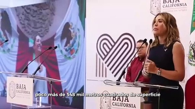 Marina del Pilar informa sobre condonación de multas y recargos de trámites vehiculares en Baja California