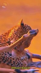 "Cheetah on the Hunt: Fastest Predator in Action! ⚡"\Moon Baar