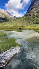 MasahAllah ❤️❤️❤️#youtubeshorts #saleemshafi18 #shortsvideos #shorts