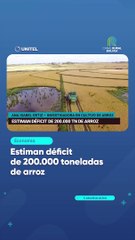 Estiman déficit de 200.000 toneladas de arroz