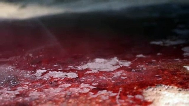 Manual 2155 | movie | 2023 | Official Trailer