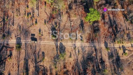 10 Fun Facts About Zimbabwe You Didn't Know!