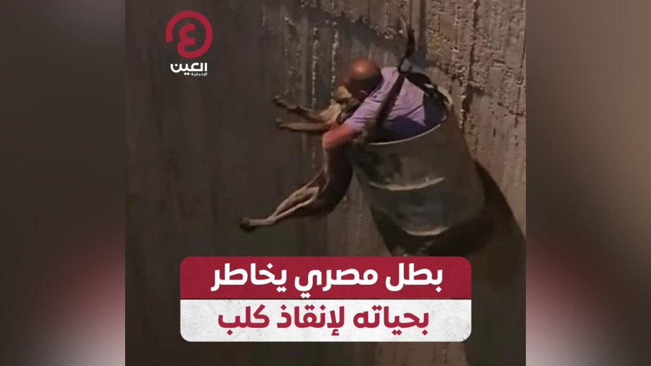 بطل مصري يخاطر بحياته لإنقاذ كلب