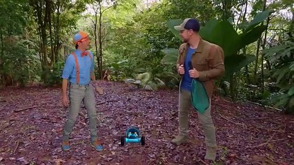 Blippi Explores the Rainforest with Brave Wilderness! ‪@BraveWilderness‬  Educational Videos for Kids