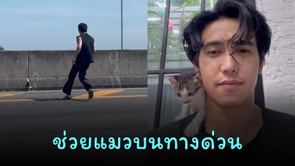 ใจฟู ! ก๊อต จิรายุ ช่วยแมวบนทางด่วน ก่อนรับดูแลเป็นบ้านให้น้อง