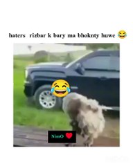 #realmadrid: 14 billion views - #labcreativo: 934