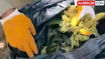 19 ilde 'Narkoçelik' operasyonu: 49 zehir taciri yakalandı