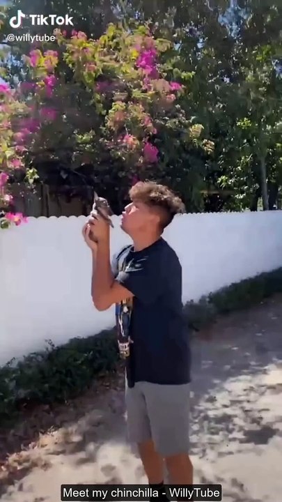 Funny TikTok May 2021 Part 1 _ The Best Tik Tok Videos Of The Week