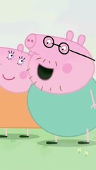 Daddy Pig Falls into the Duck Pond! #shorts #peppapig