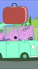 Daddy Pig Drives Abroad #shorts #peppapig