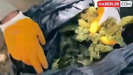 19 ilde 'Narkoçelik' operasyonu: 49 zehir taciri yakalandı