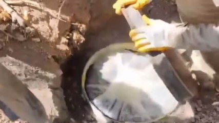 19 ilde 'Narkoçelik' operasyonu: 49 zehir taciri yakalandı