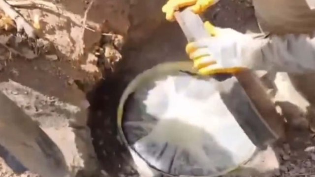19 ilde 'Narkoçelik' operasyonu: 49 zehir taciri yakalandı