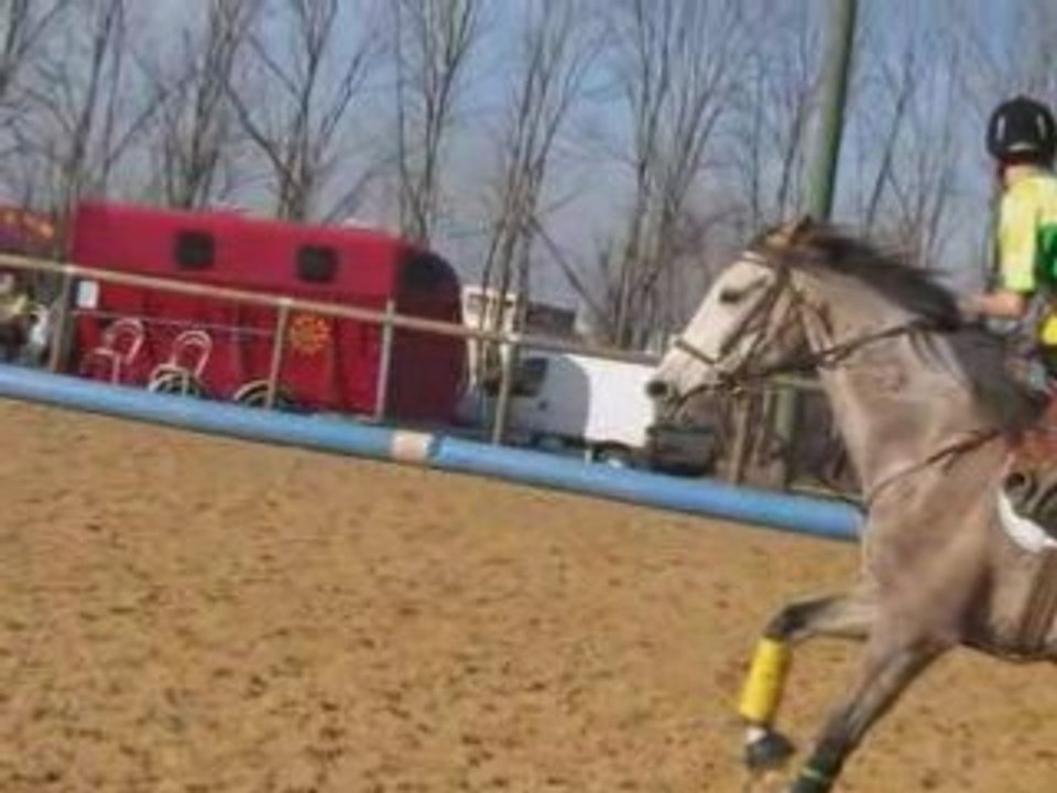 Horse ball