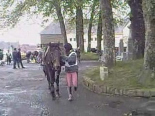 endurance equestre callac 44 km