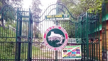 10 Beautiful places of Nathia gali