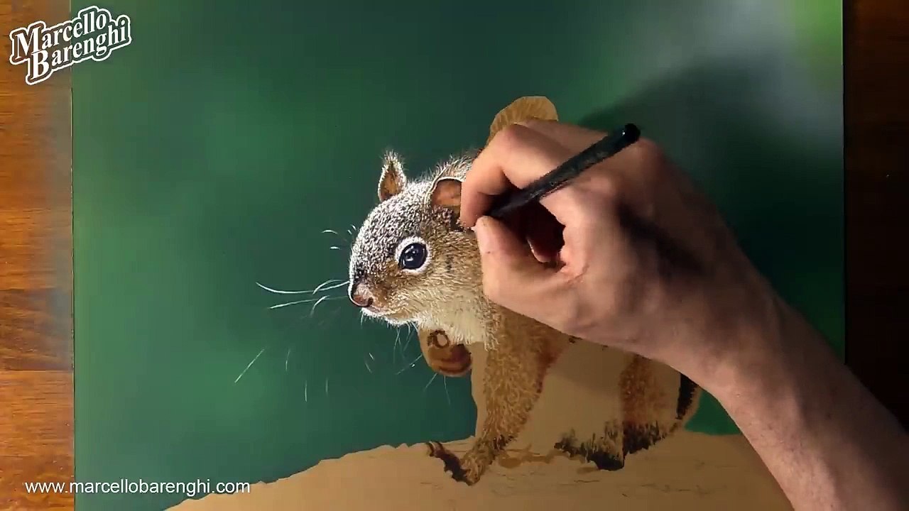 How to draw a squirrel - Time Lapse (Long Version)