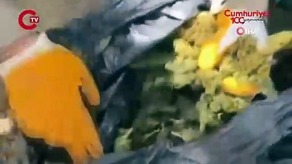 19 ilde 'Narkoçelik-42' operasyonu  49 kişi yakalandı