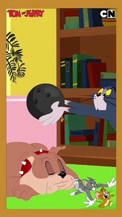 Tom & Jerry | The Cat & Dog | CK FUN TV