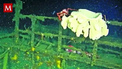 Hallan el "barco fantasma" de la Segunda Guerra Mundial en el Pacífico