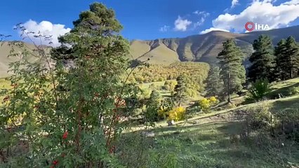 Şans eseri bulundu, bir köyün geçim kaynağı oldu...