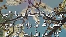 Life Changing Quotes of Prophet Muhammad (PBUH) | the quoted life