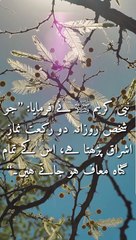 Life Changing Quotes of Prophet Muhammad (PBUH) | the quoted life