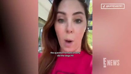 TikToker Katie Santry's Viral Videos of A Buried Rug In Her Yard SPARKS Investigation