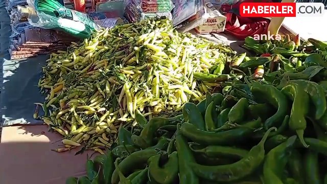 Osmaniye'de Süs Biberinin Fiyatı 70 Liraya Çıktı, Vatandaş Tepkili