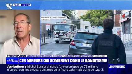 "La violence est totalement débridée", assure Frédéric Ploquin, spécialiste du brand banditisme
