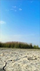 Trending Romantic Song: Miloon Ki Dooriyan 🎶