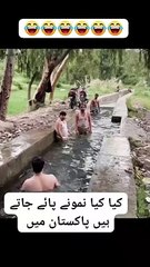 most popular video funny entertainment