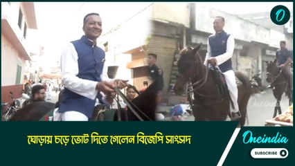 হরিয়ানা বিধানসভা নির্বাচনে ব্যতিক্রমী ছবি! ঘোড়ায় চড়ে ভোট দিতে গেলেন বিজেপি সাংসদ