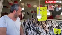 Hamsi fiyatları palamudu geçti: Karadeniz'in incisi 200 TL'den satılıyor