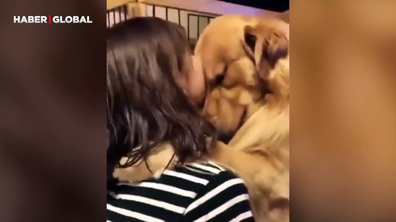 Barınaktan sahiplenilen köpeğin tepkisi izlenme rekoru kırdı