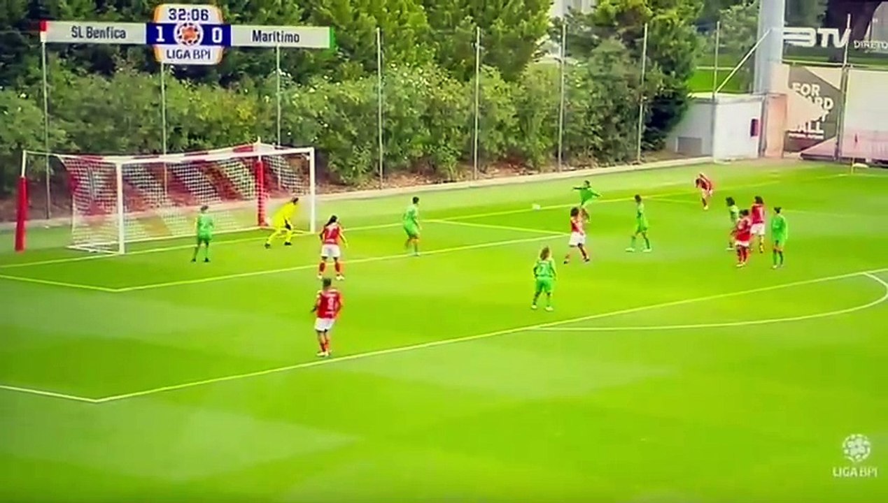 Lesão Pauleta