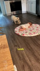 She said look hairless baby this my baby