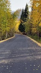 Do halal Work with us ( Only for Females )