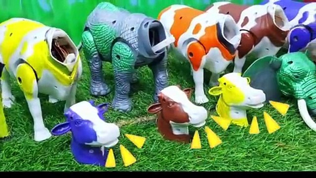 BAQRAEID ‼️ POTONG SAPI WADIDAU PROSESS POTONG SAPI SIMOLASI IDULIDHA COW CARTOON @toystory7209