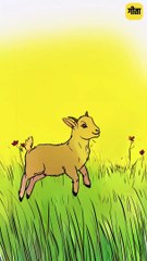 वो भी जीना चाहता है || आचार्य प्रशांत