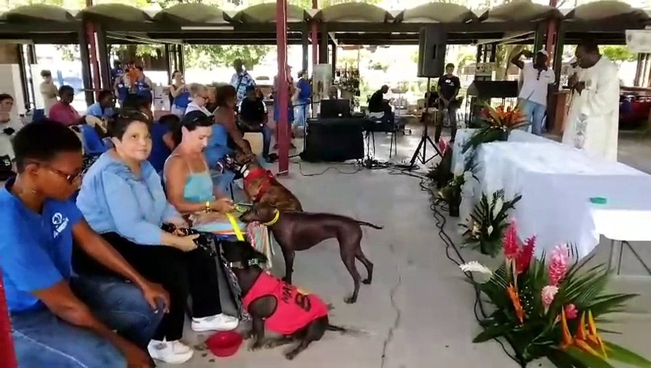 [MARTINIQUE] Journée mondiale des animaux au Lamentin