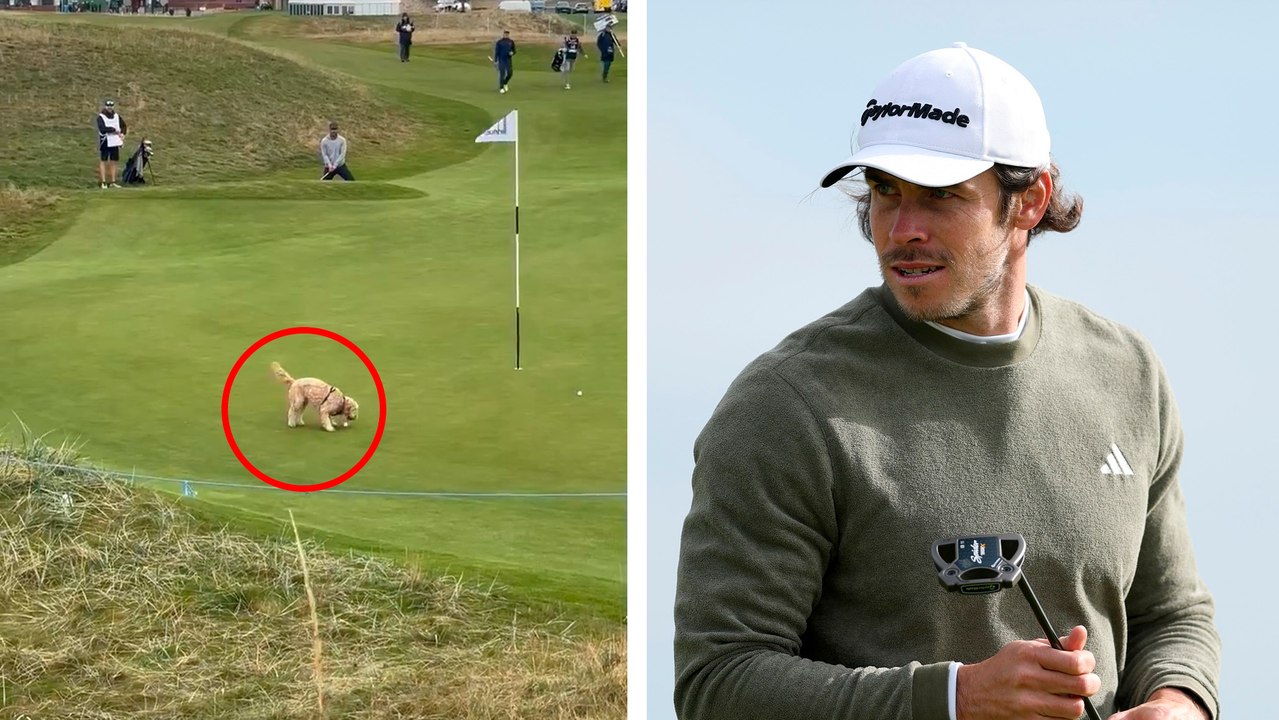 Gareth Bale sufre el "robo" de su pelota de golf en pleno green... ¡por un perro!